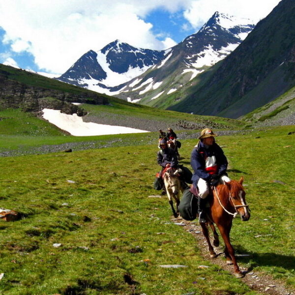 jergez-1