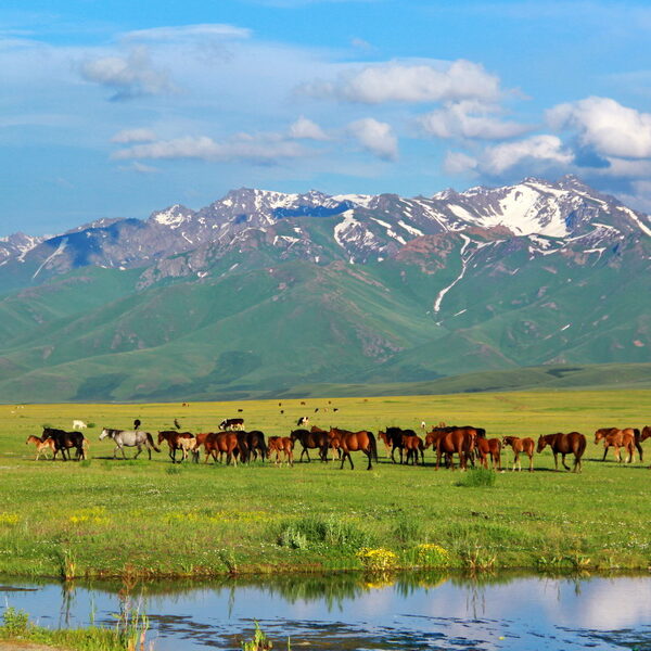kyrgyzstan-nature-gorges-canyons-valleys-suusamyr-valley