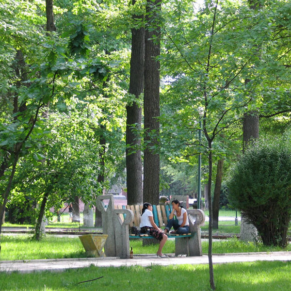 oak-park2